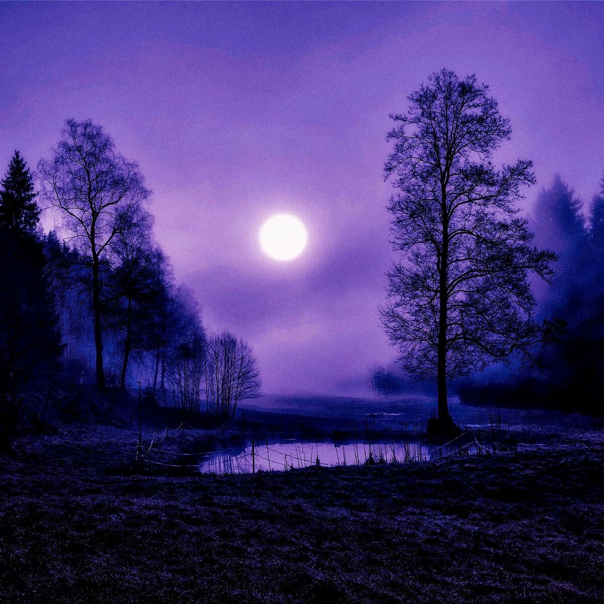 Album cover of stasis