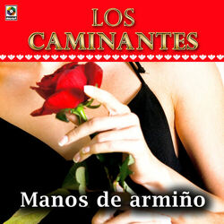Cover of Manos De Armiño