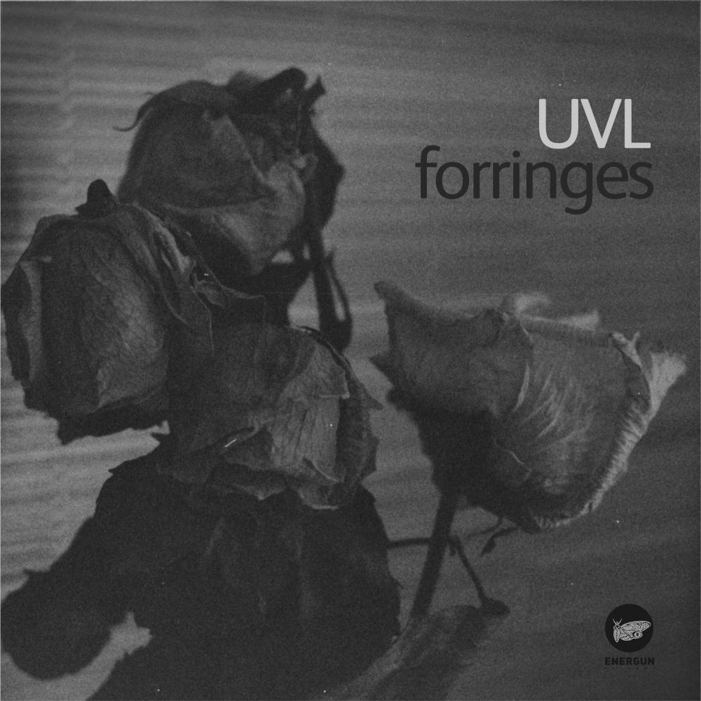 Picture of Forringes EP