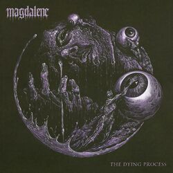 Cover of The Dying Process