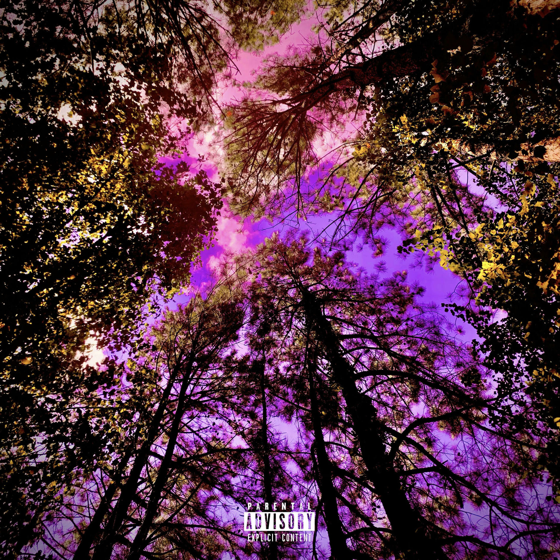 Album cover of Dark Reality