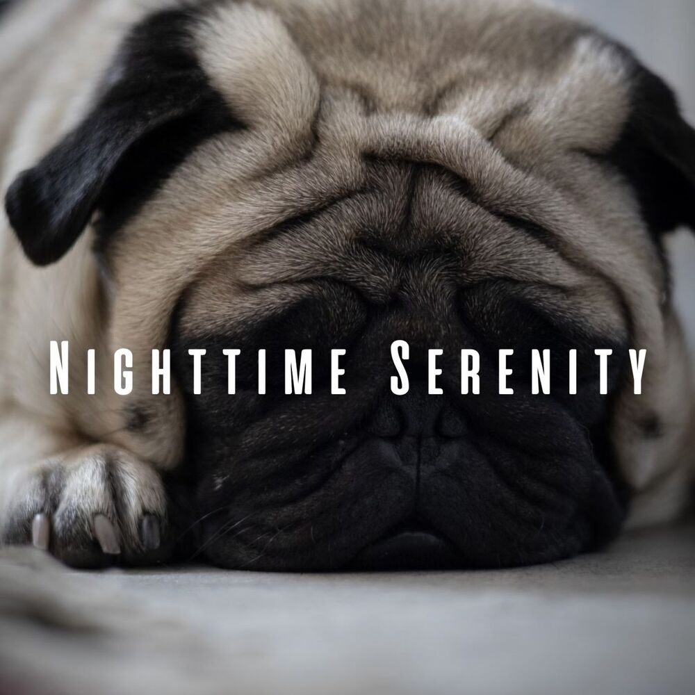 Picture of Nighttime Serenity: Ambient Music Sleep for Pets