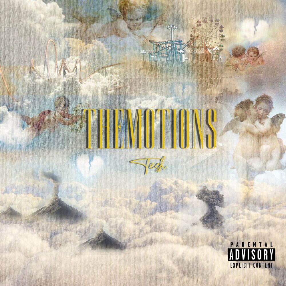 Picture of Themotions