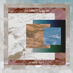 Cover of What I Meant To Say Was