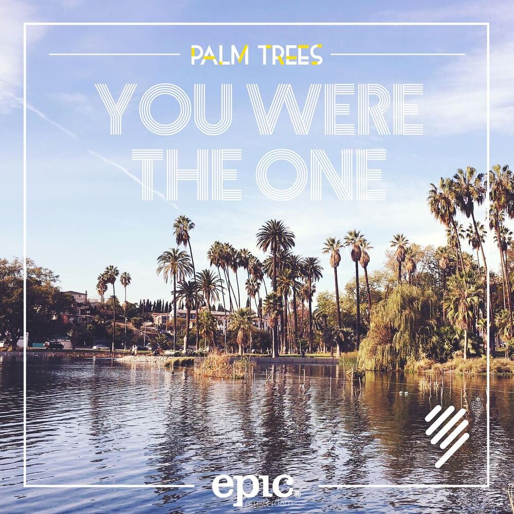 Picture of You Were The One (feat. Chris Ayer)