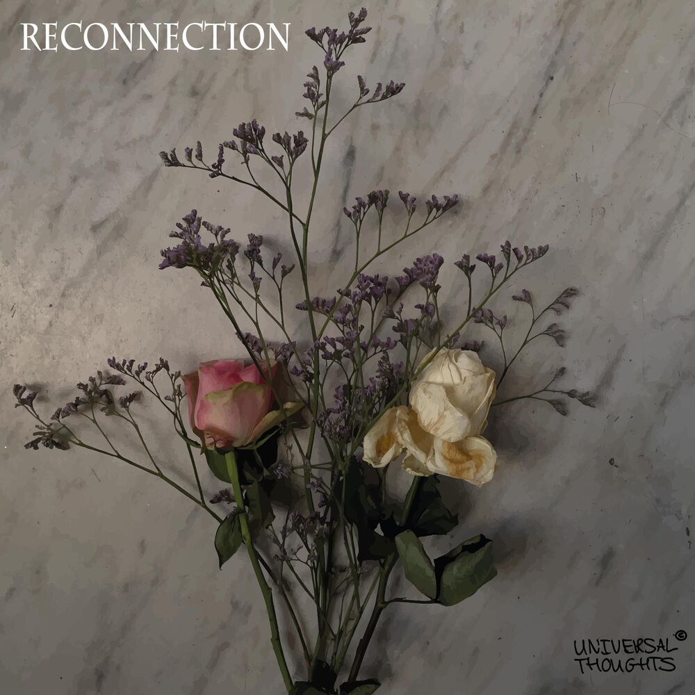 Picture of Reconnection
