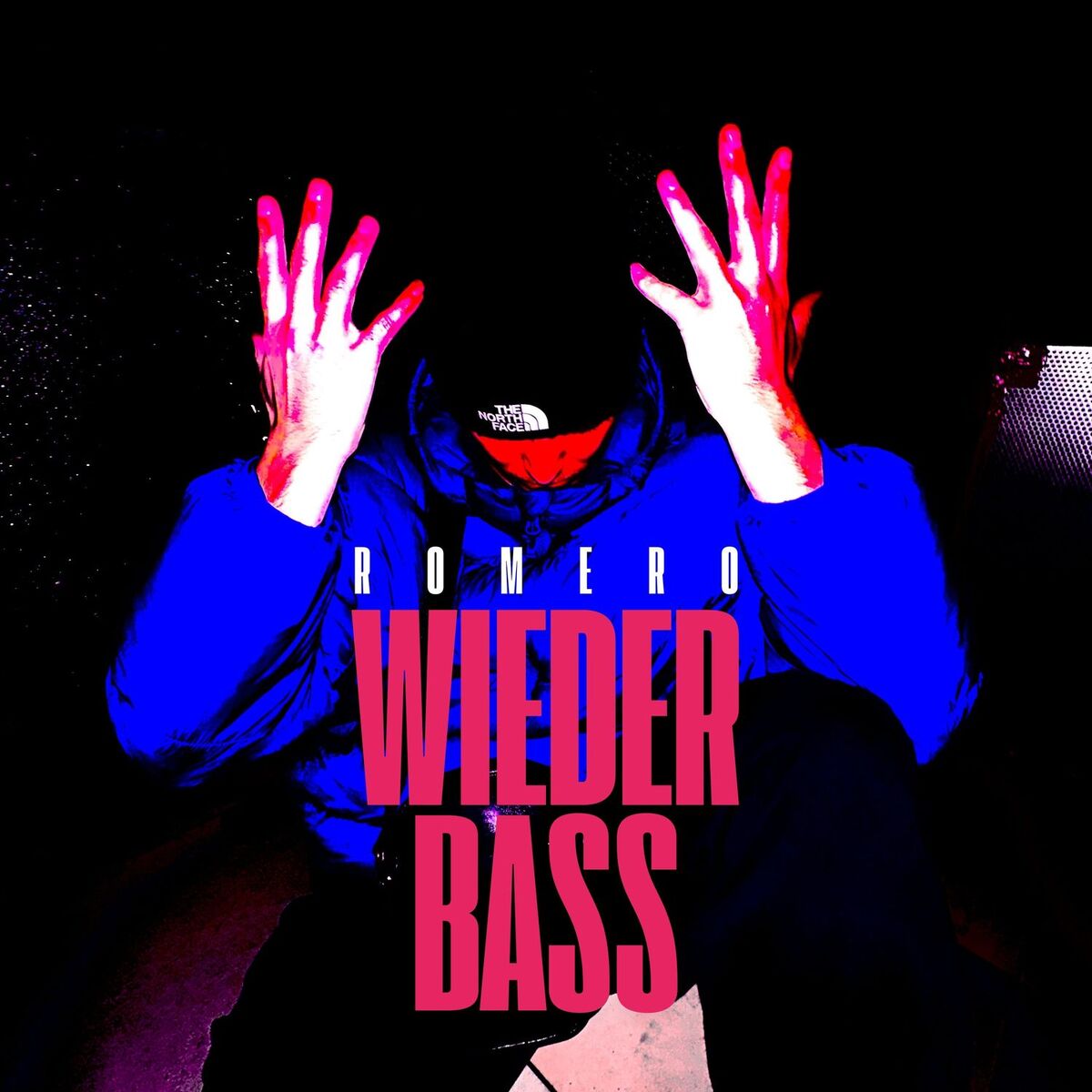 Album cover of Wieder Bass