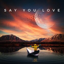 Cover of Say You Love