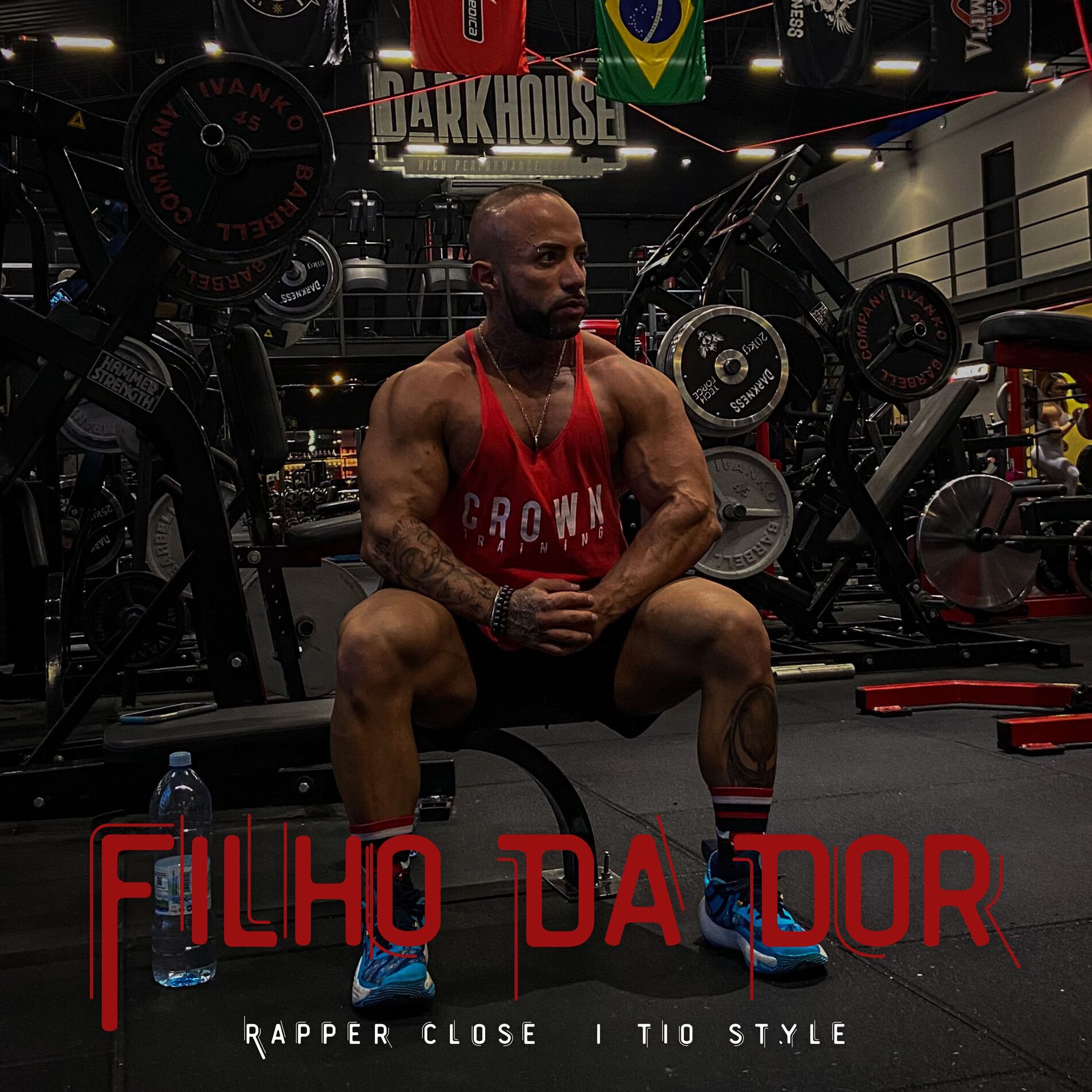 Album cover of Filho da Dor