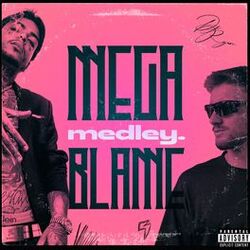 Cover of Mega Medley Blame