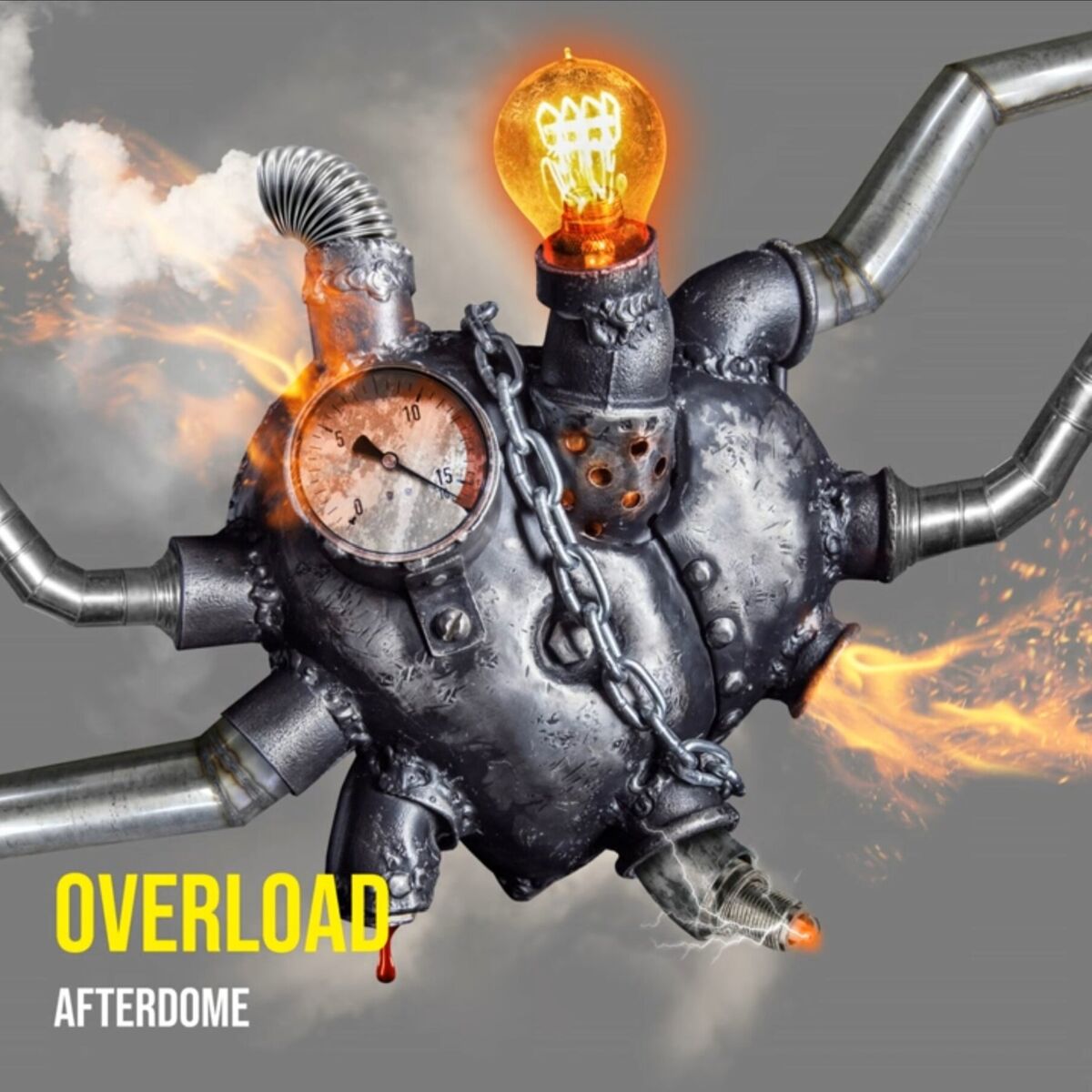 Album cover of Overload