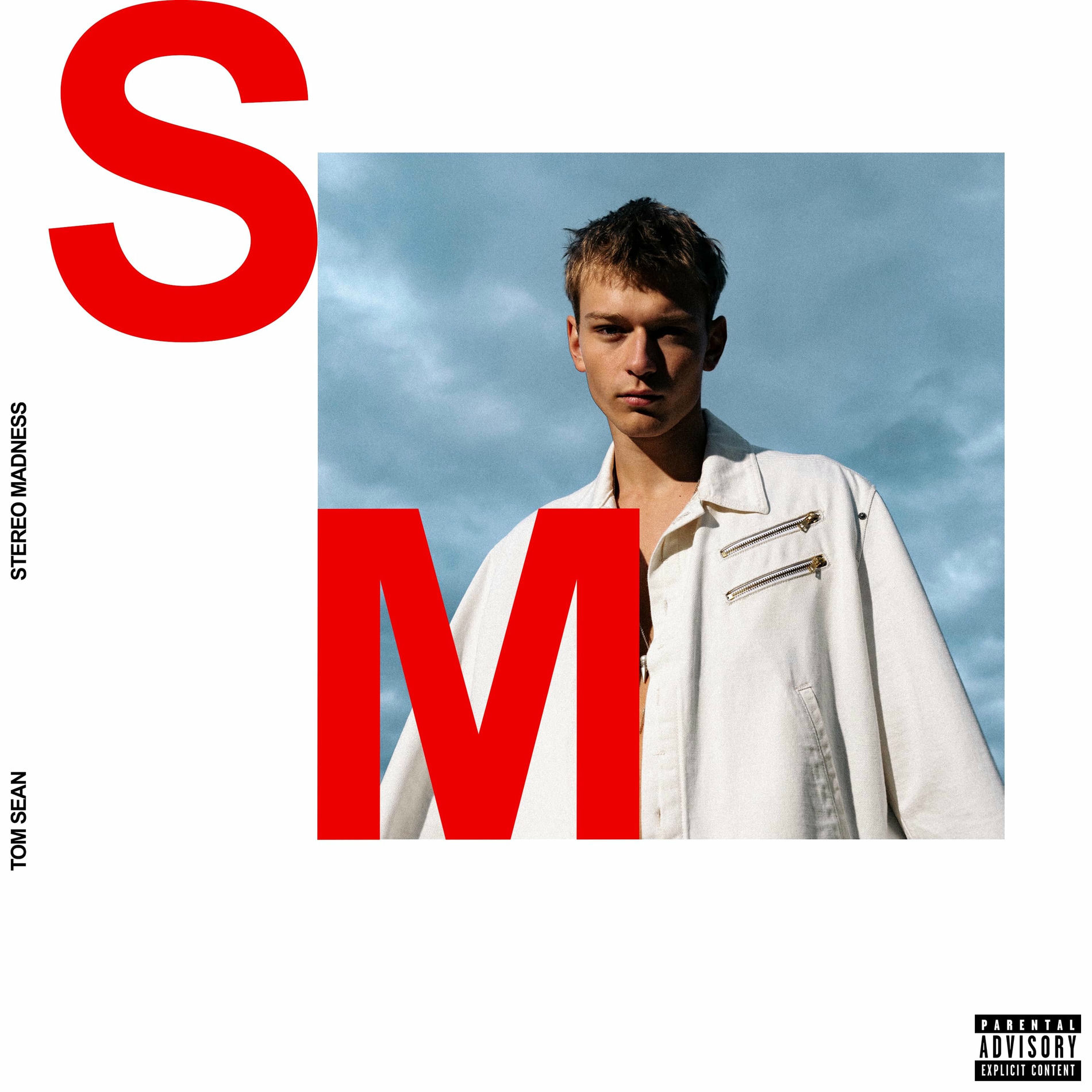 Album cover of STEREO MADNESS