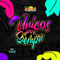 Cover of Unicos por siempre