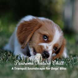 Cover of Pawsome Nature Chill: A Tranquil Soundscape for Dogs' Bliss