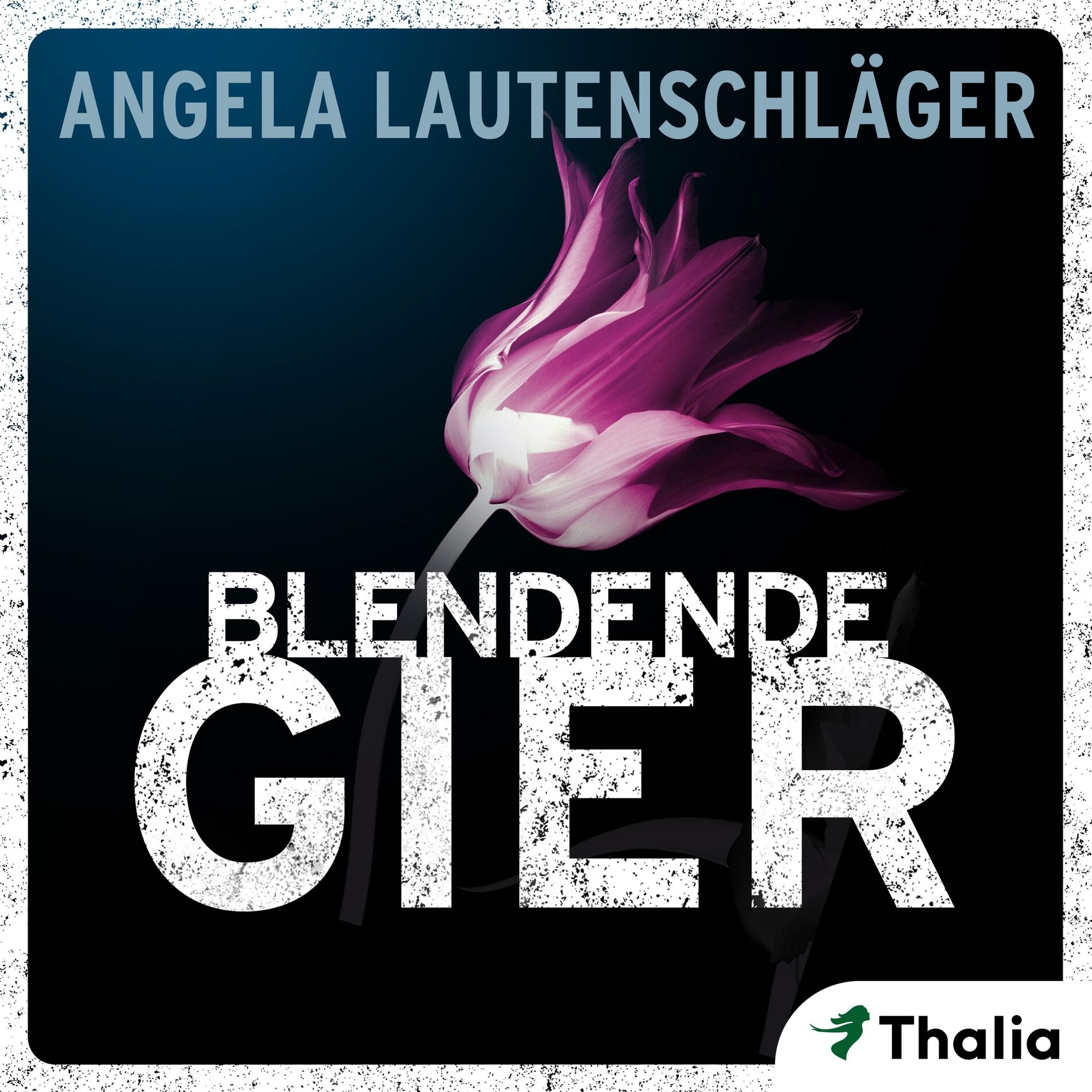 Album cover of Blendende Gier (Der zweite Fall für Sommer und Kampmann)
