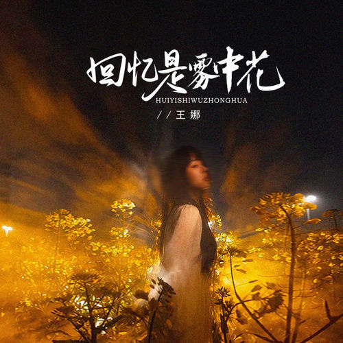 回忆是雾中花 (节奏版)