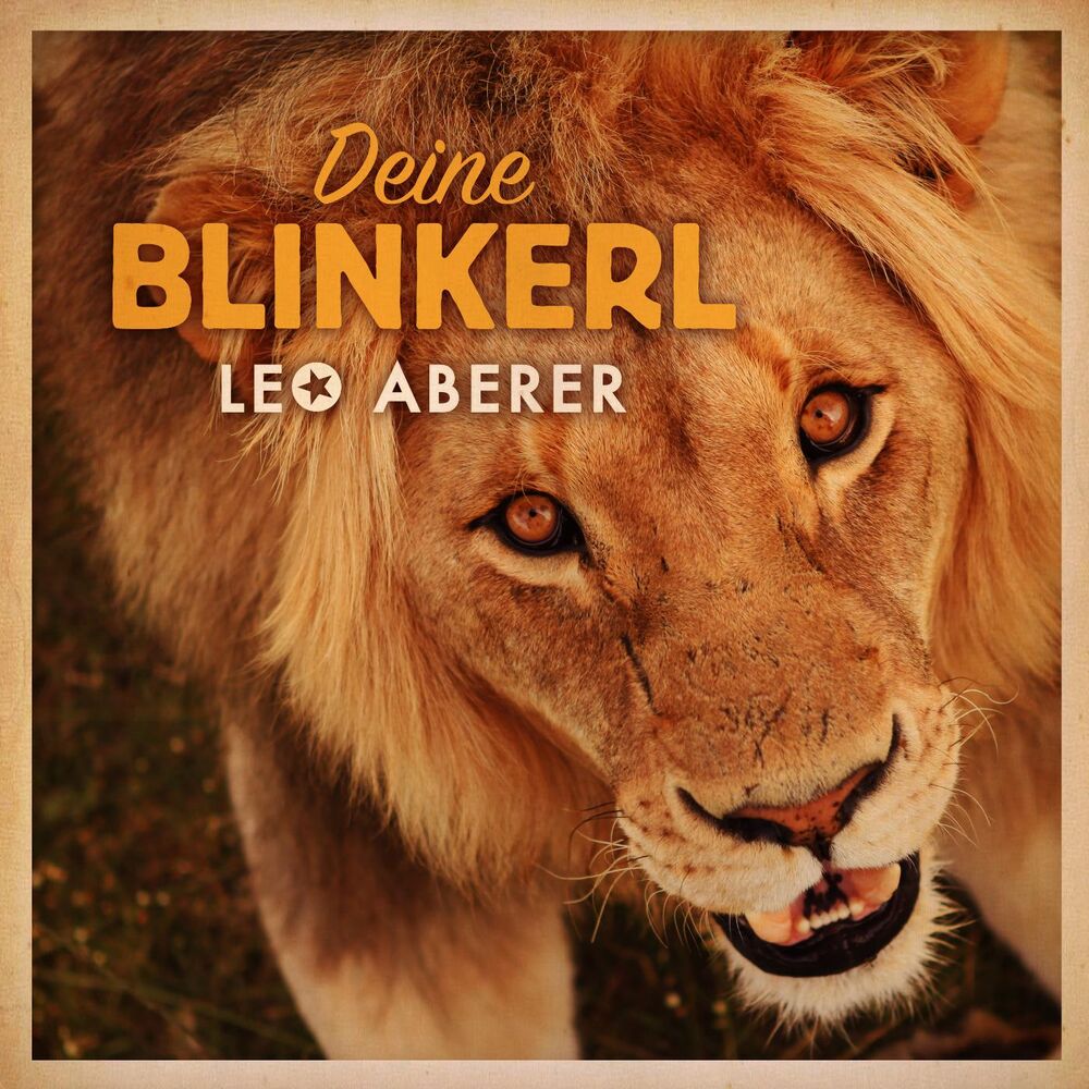 Picture of Deine Blinkerl
