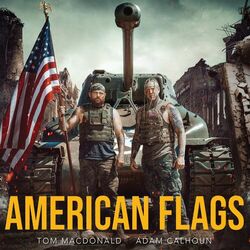 Cover of American Flags