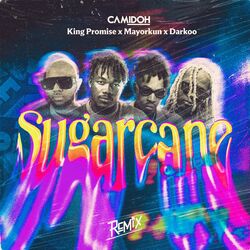 Cover of Sugarcane (Remix)