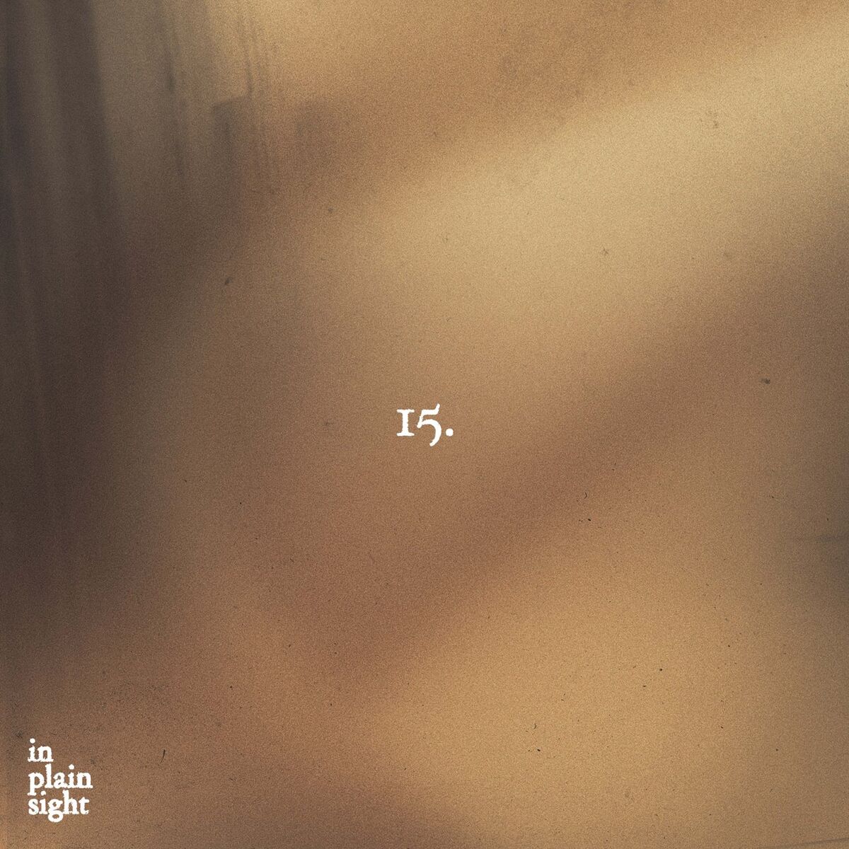 Album cover of In Plain Sight
