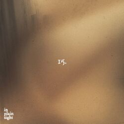Cover of In Plain Sight
