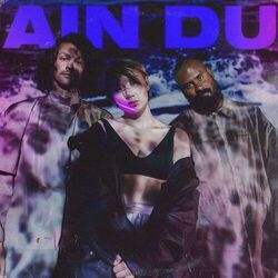 Cover of Ain Du