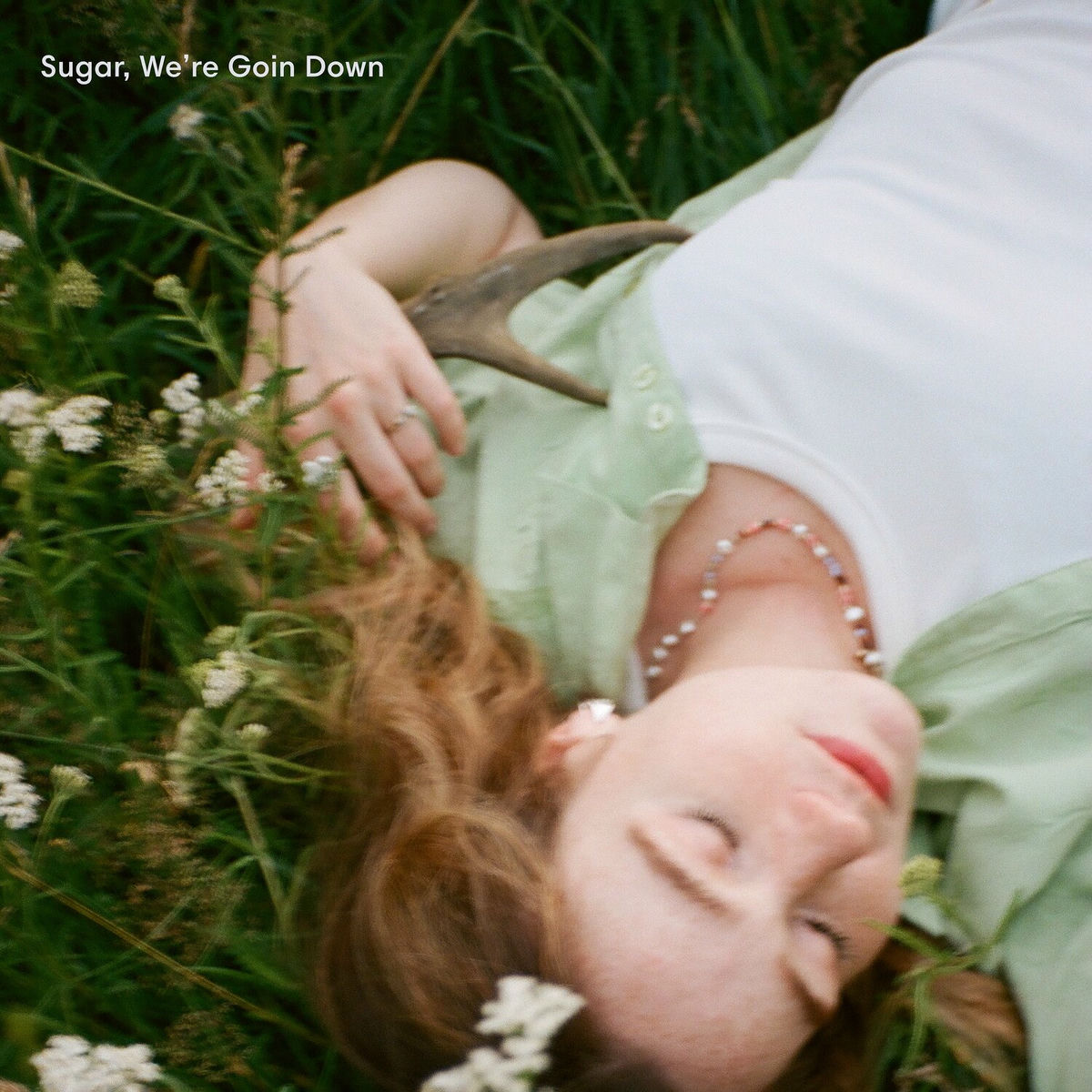 Album cover of Sugar, We're Goin Down