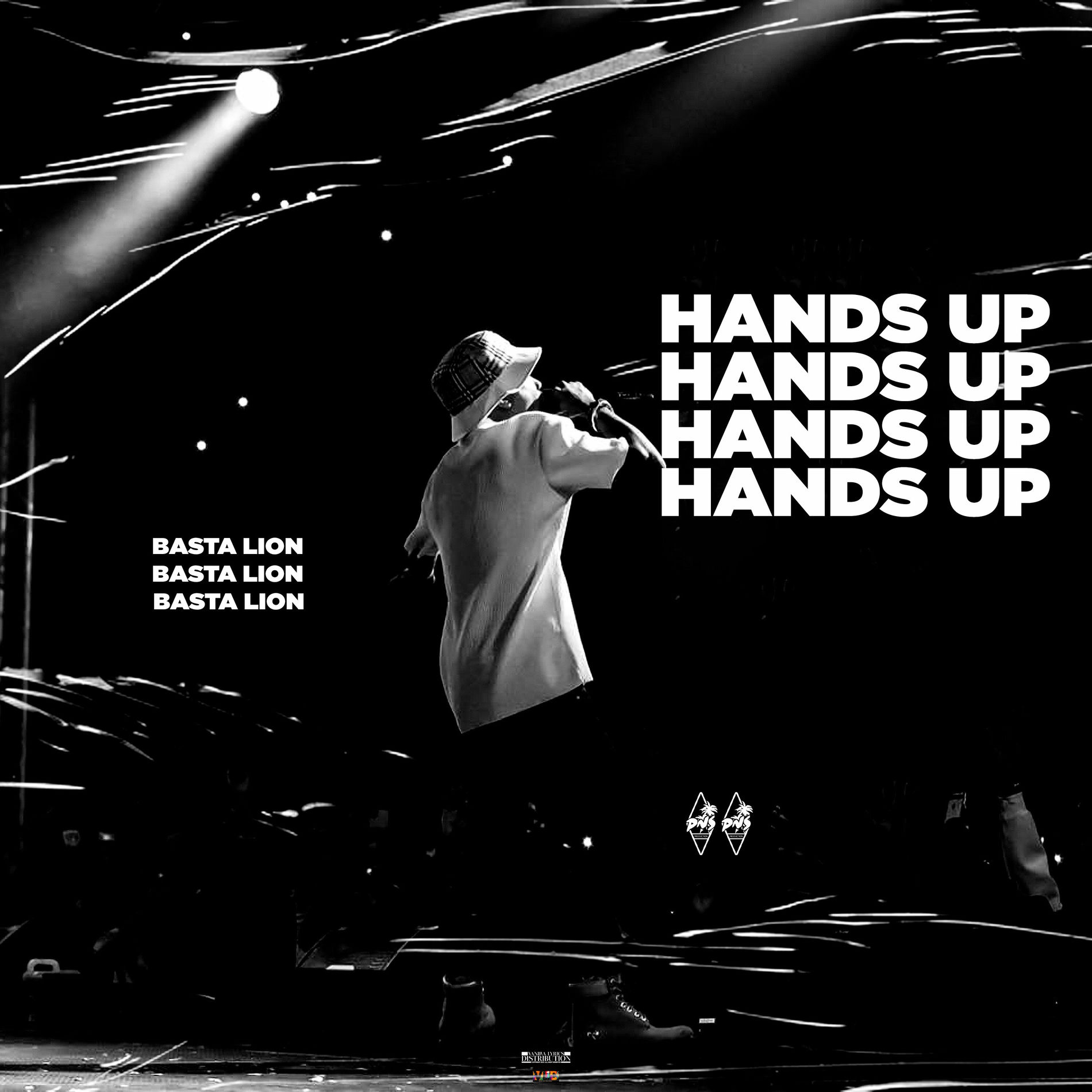 Album cover of Hands Up