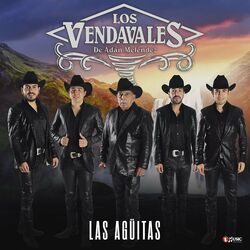 Cover of Las Agüitas