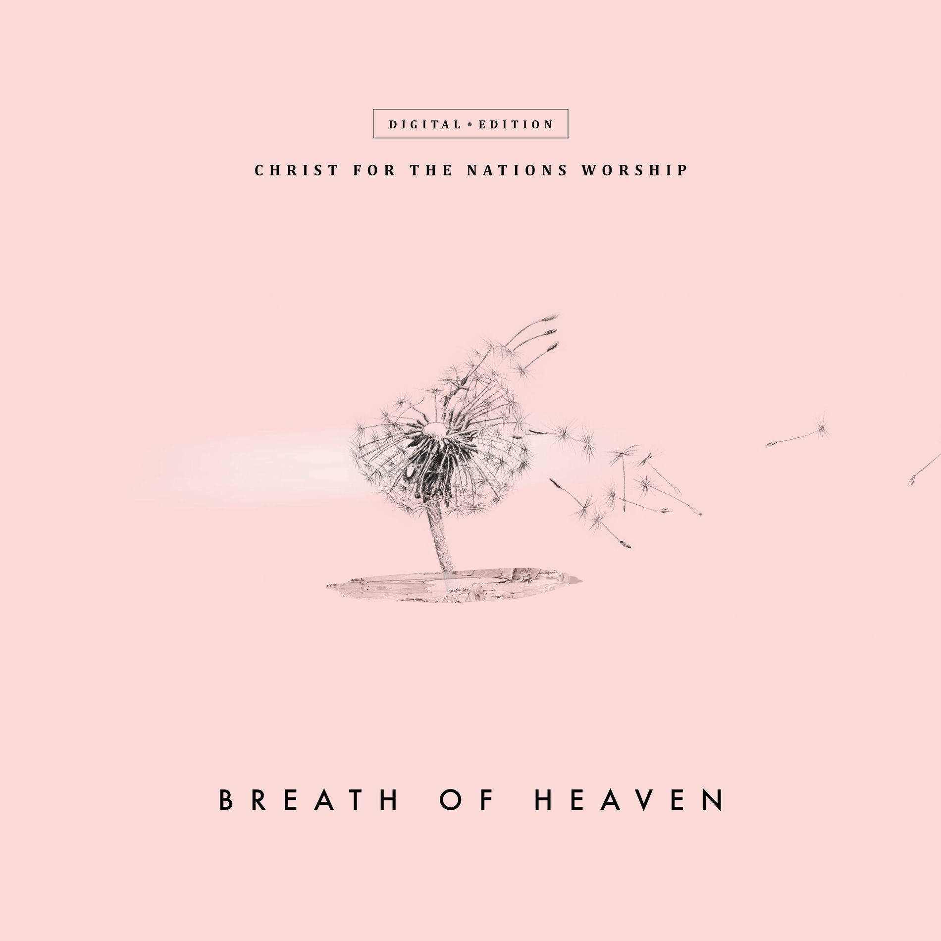 Album cover of Breath of Heaven (Live)