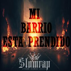 Cover of Mi barrio esta prendido