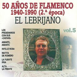 Cover of 50 Años de Flamenco, Vol. 5 : 1940-1990