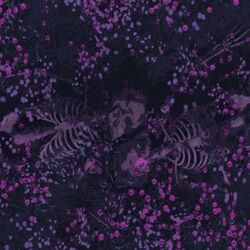 Cover of Lecon D'Amour