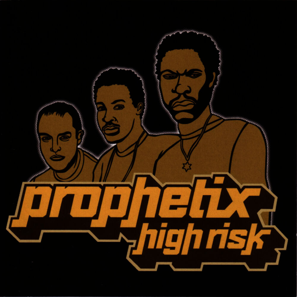 Picture of High Risk