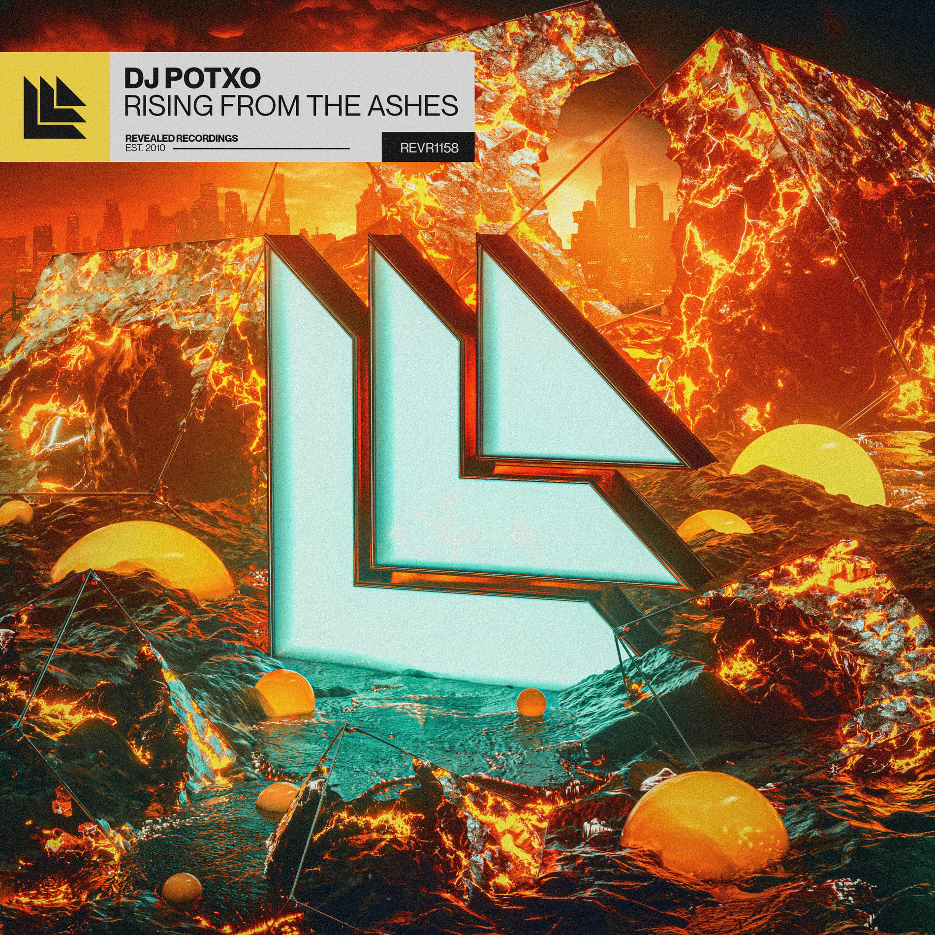 Album cover of Rising From The Ashes