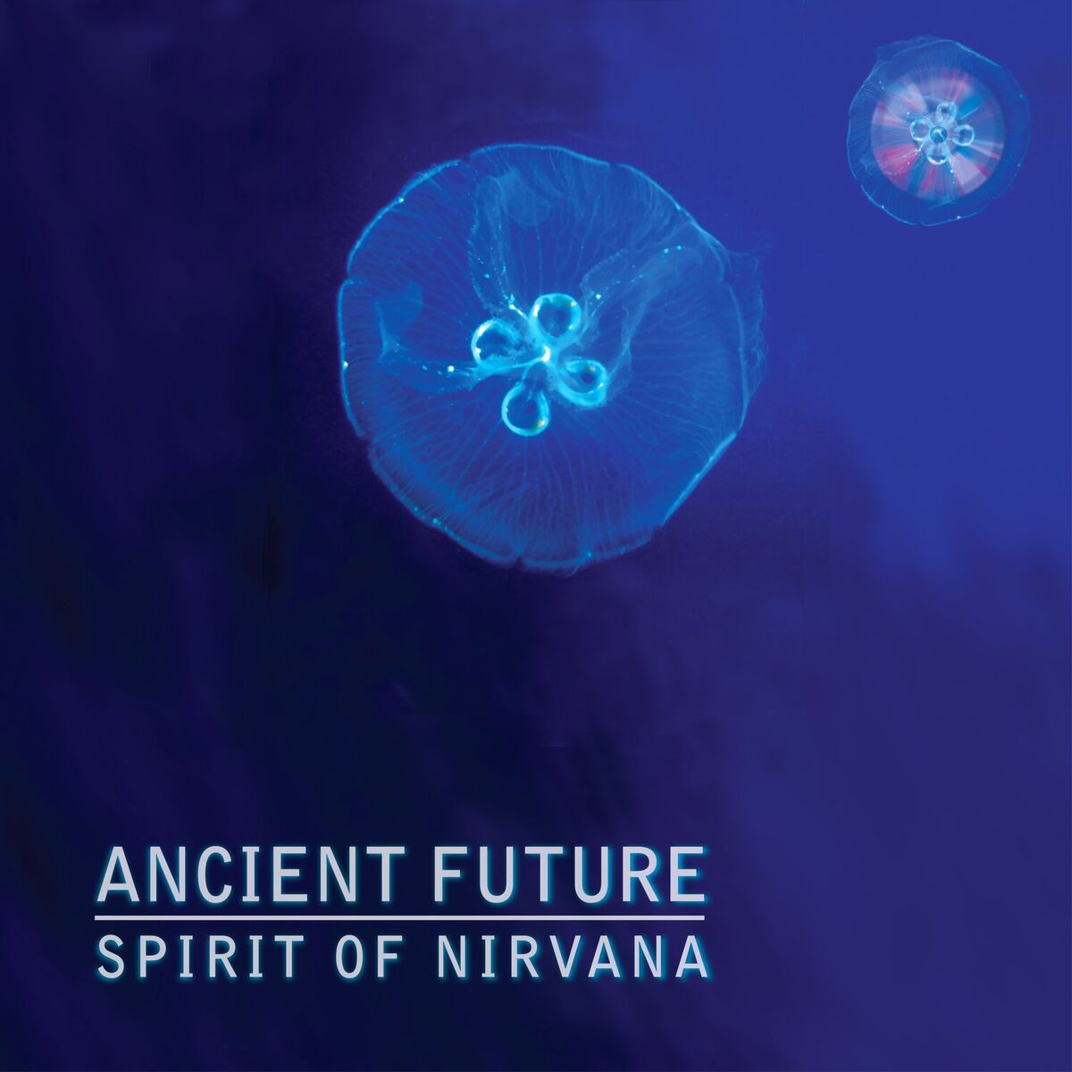 Album cover of Spirit of Nirvana