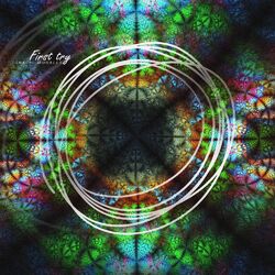 Cover of First Try