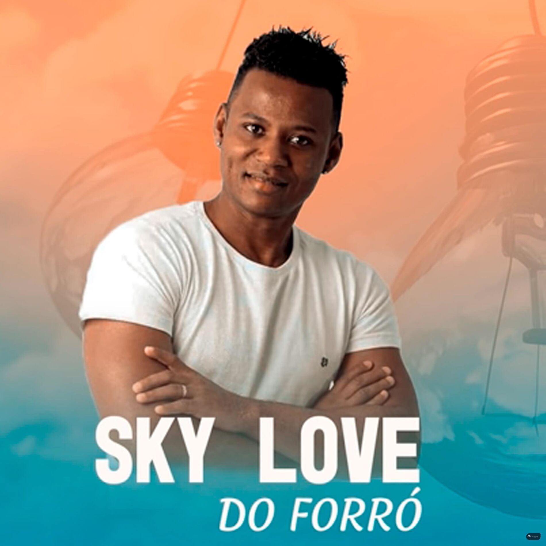 Album cover of A Perereca da Vizinha