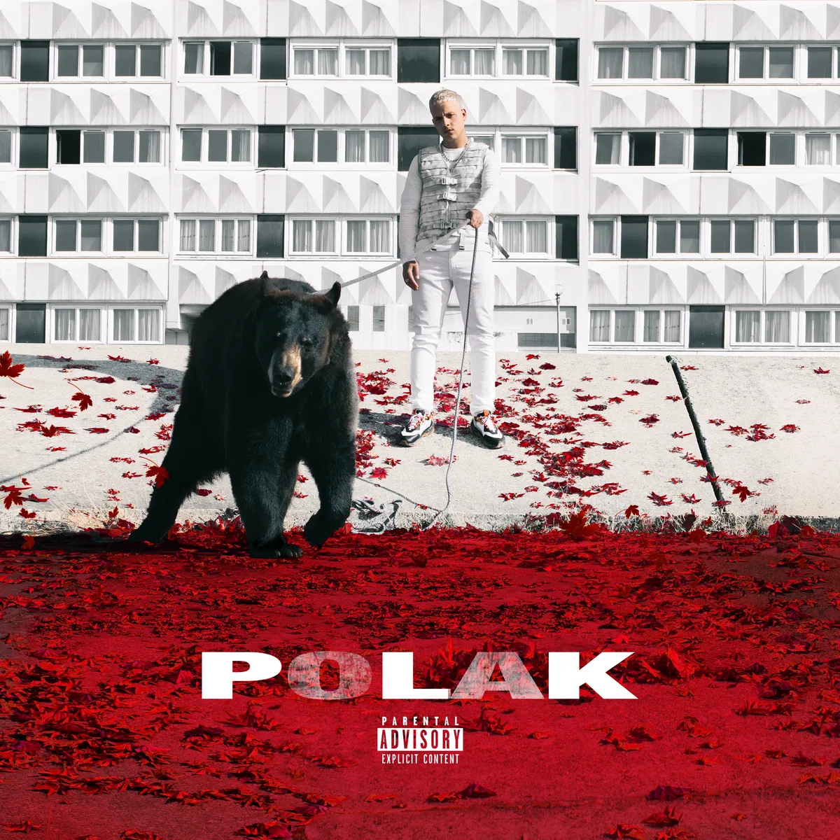 Polak, PLK