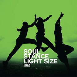 Cover of Light Size