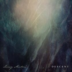 Cover of Descent