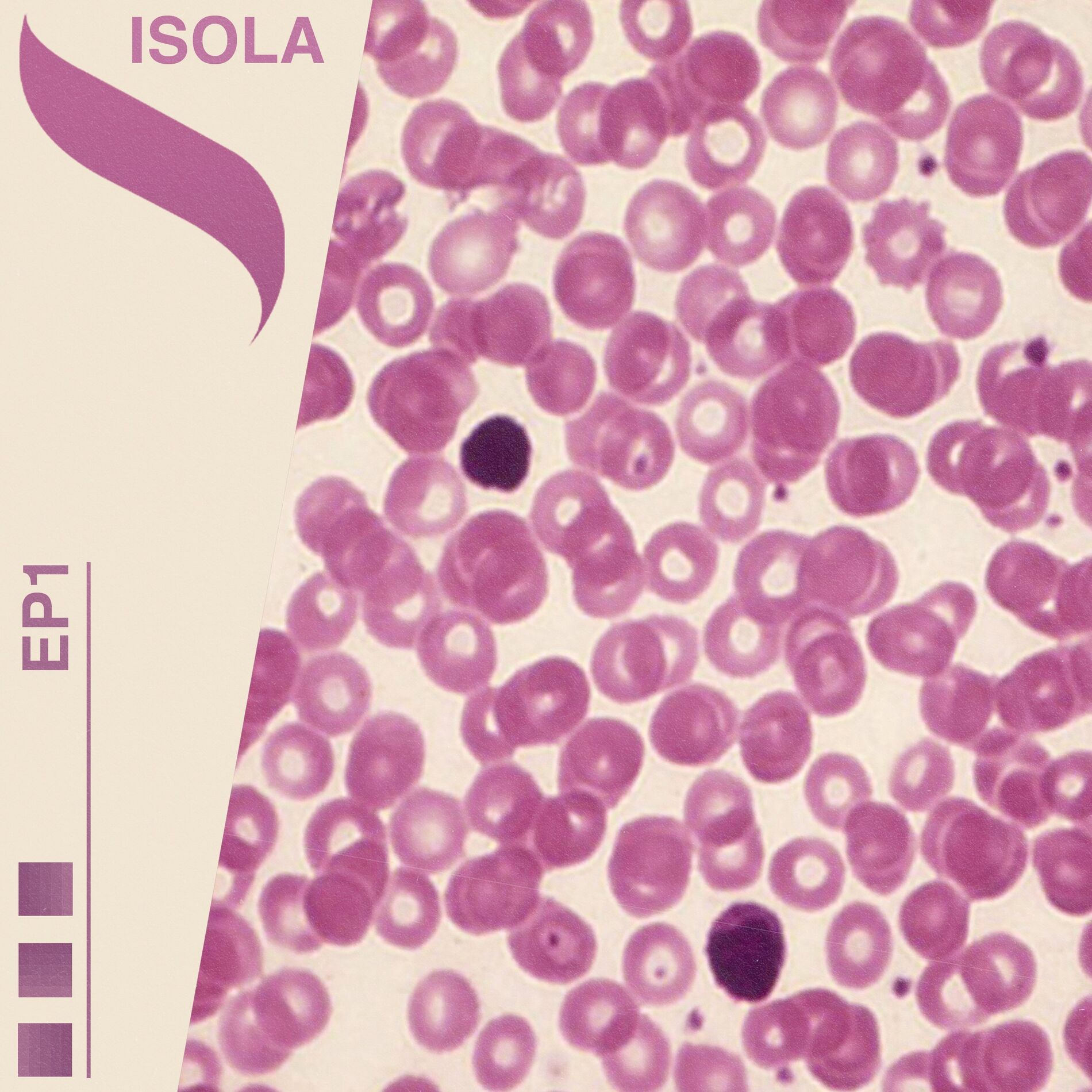Album cover of Ischia