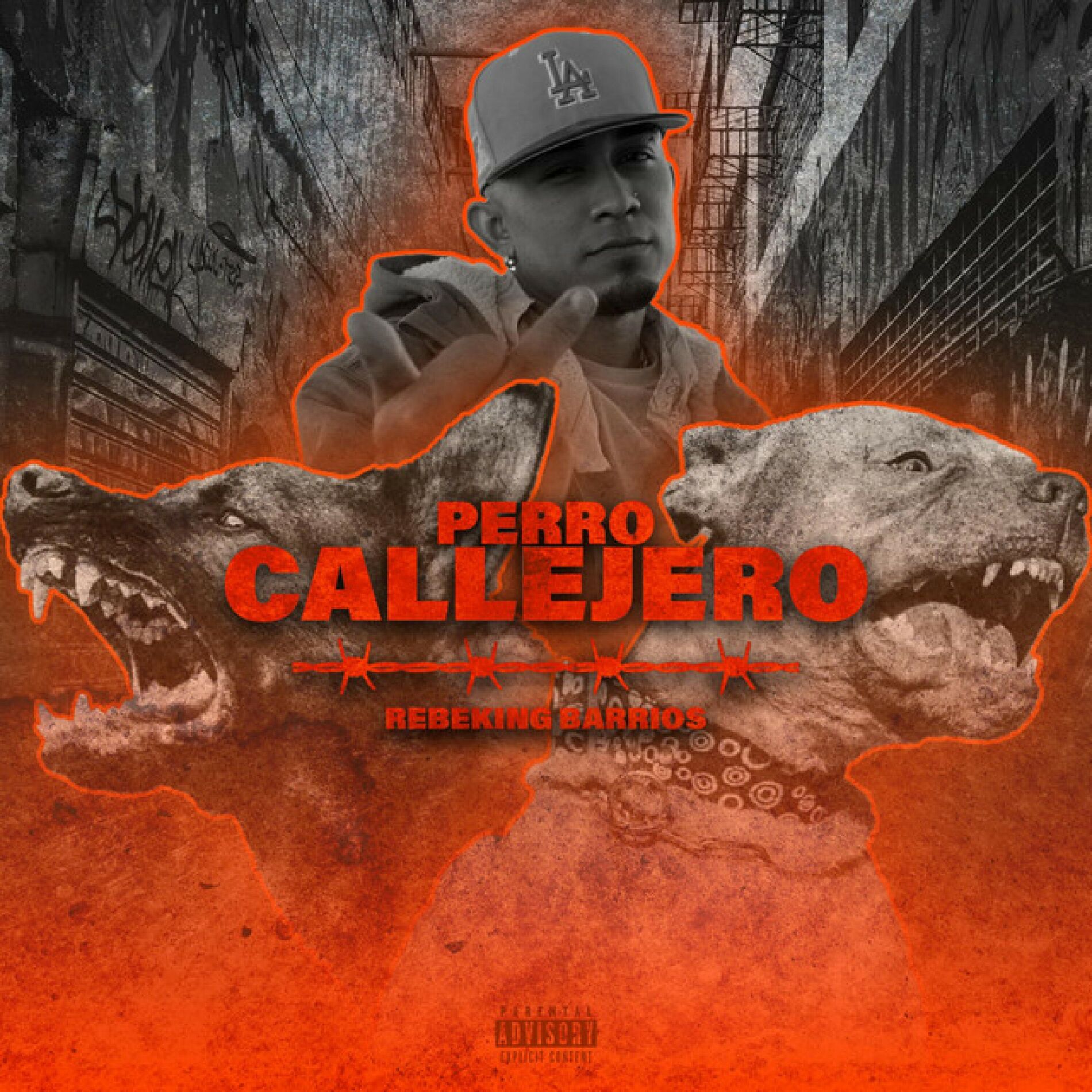 Album cover of Perro Callejero