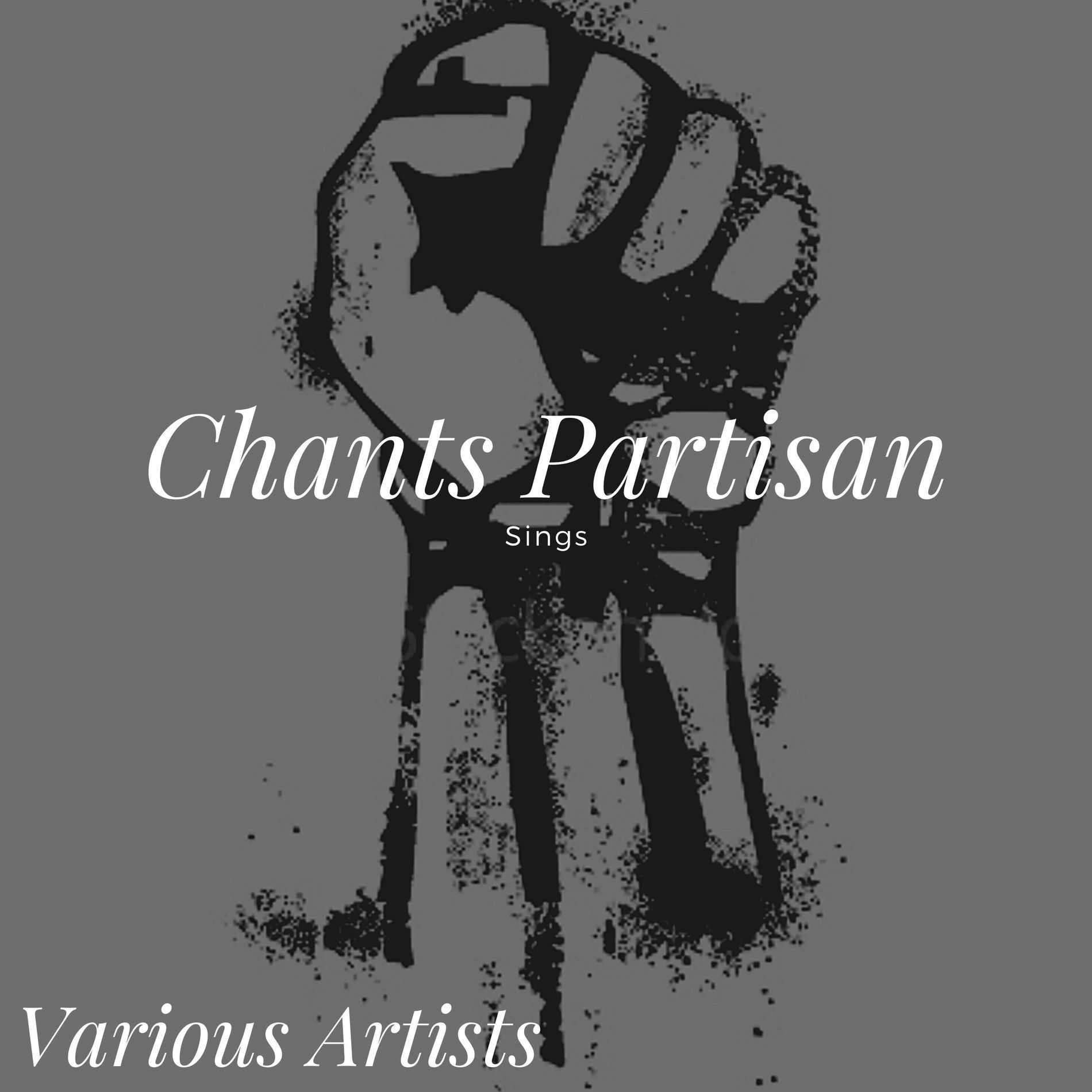 Album cover of Ce que c'est qu'un drapeau