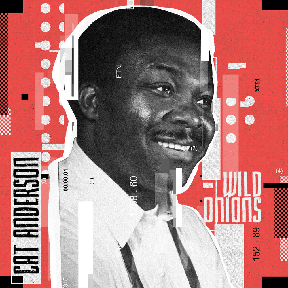 Picture of Wild Onions