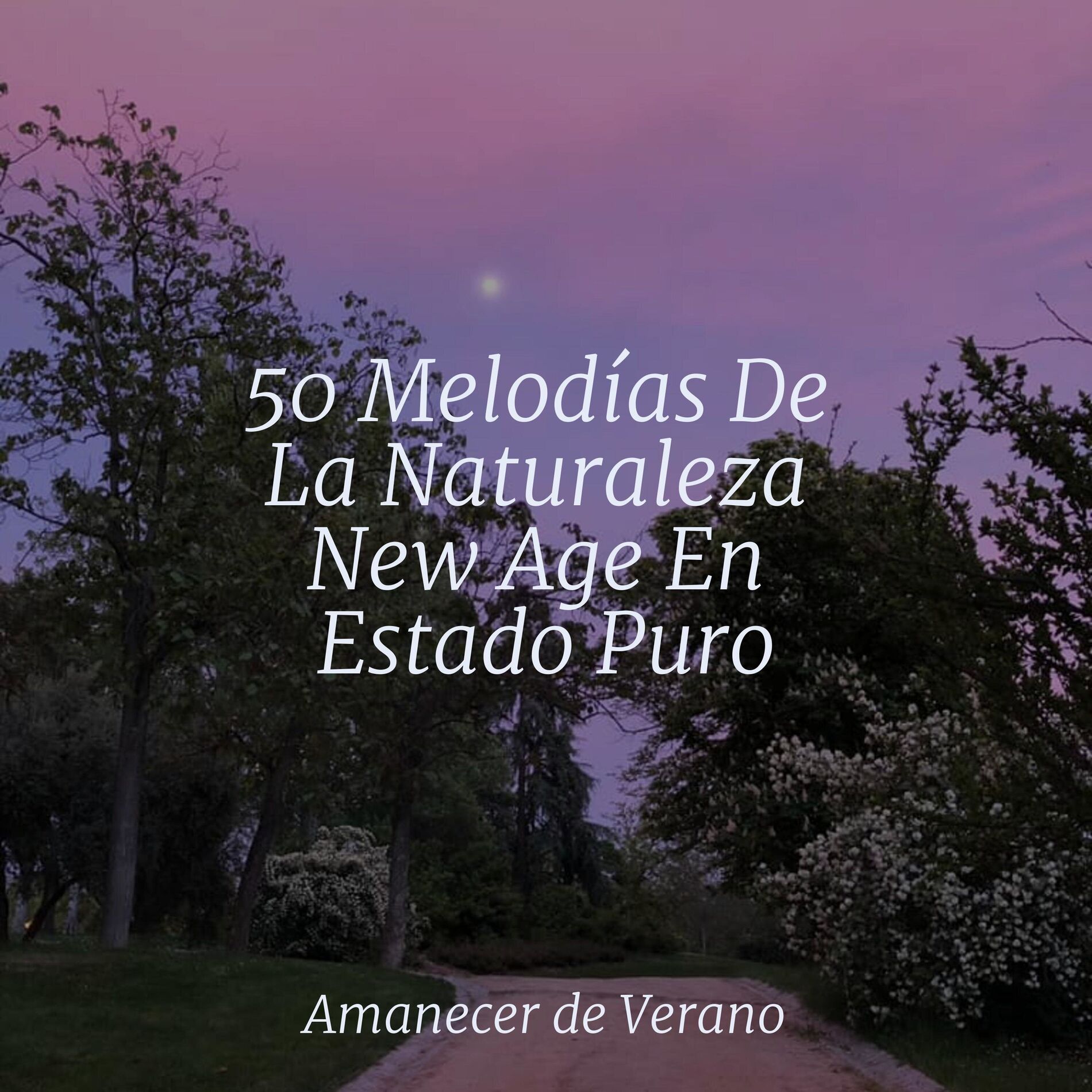 Album cover of 50 Melodías De La Naturaleza New Age En Estado Puro