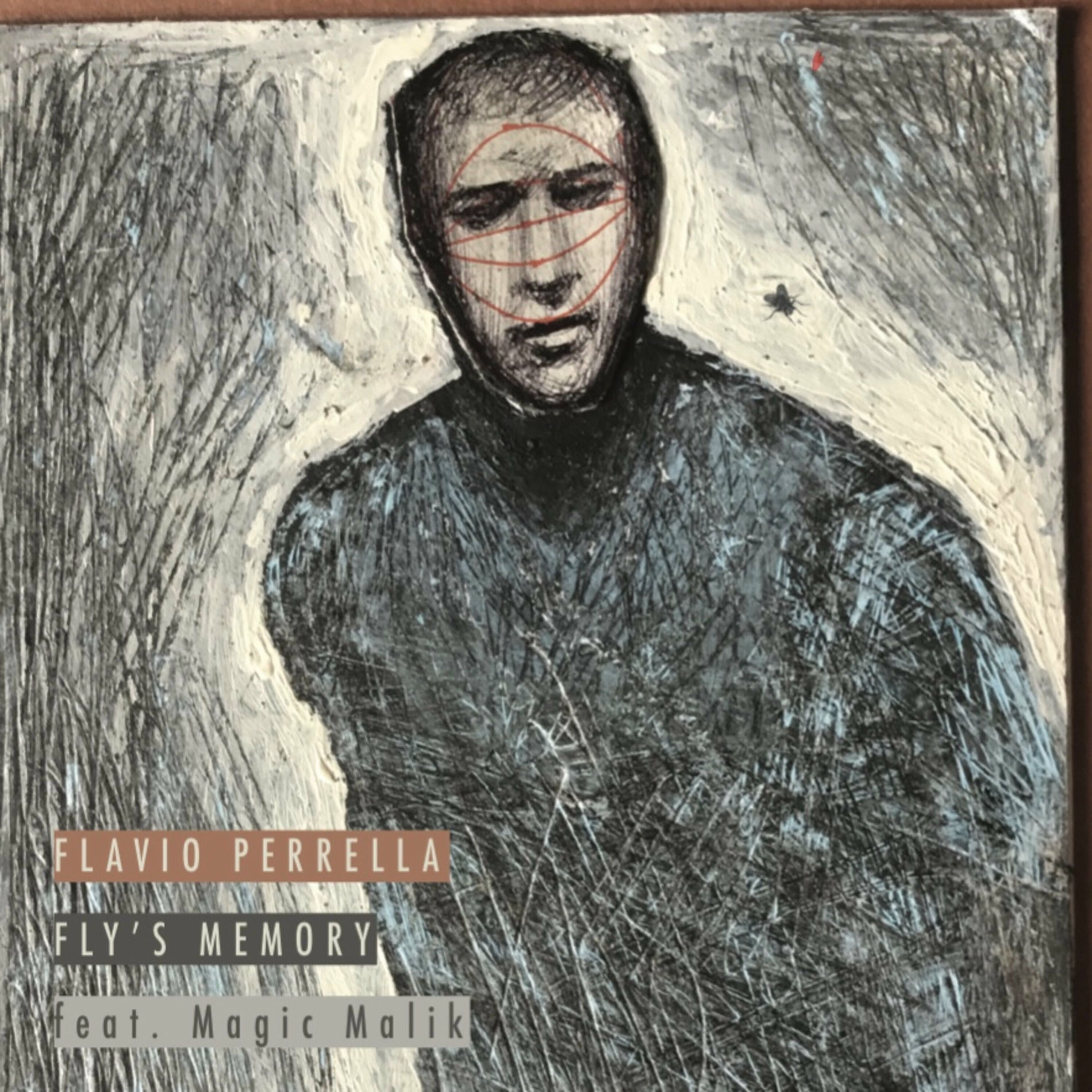 Album cover of Fly's Memory