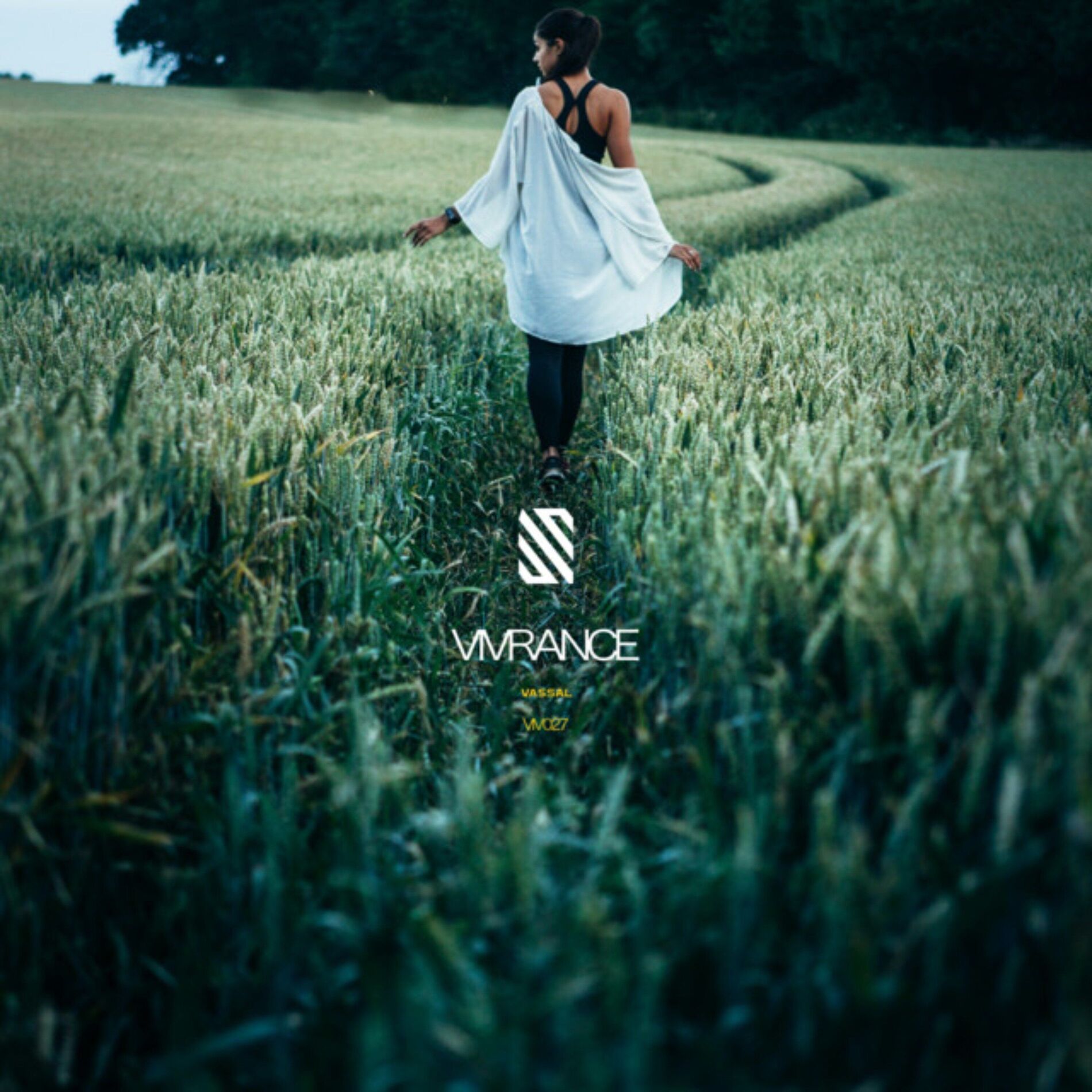Album cover of Vassal