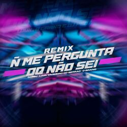 Cover of Não Me Pergunta o Que Não Sei (Remix)