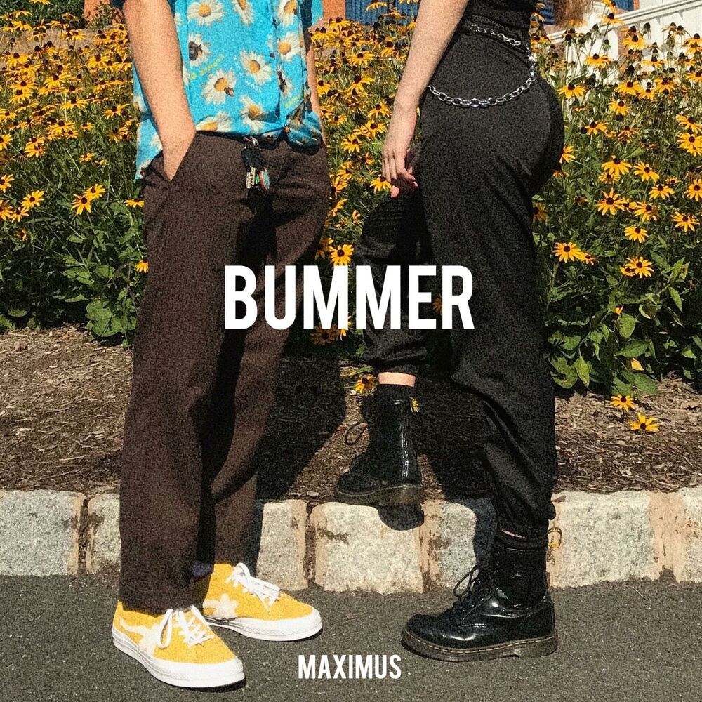 Picture of Bummer